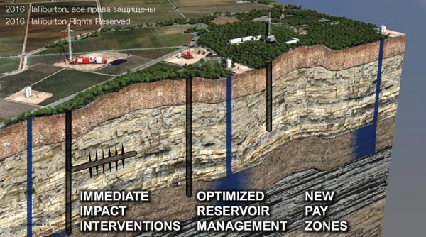 Halliburton Brownfield Development ROGTEC